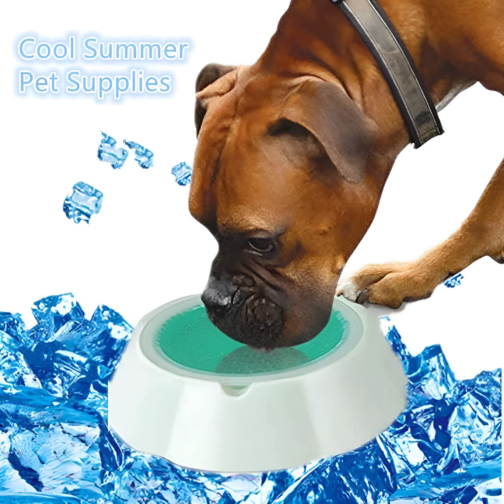 Blue PP plastic condensed pearl ice pet bowl for dogs and cats with textured surface