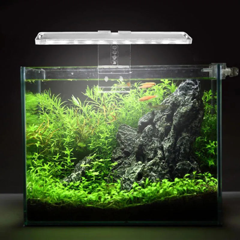LED fish tank light with transparent acrylic body and touch switch for 10mm tank wall