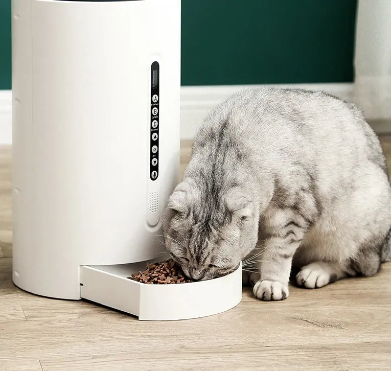 White smart pet feeder with digital timer display and food storage compartment