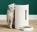 White smart pet feeder with digital timer display and food storage compartment