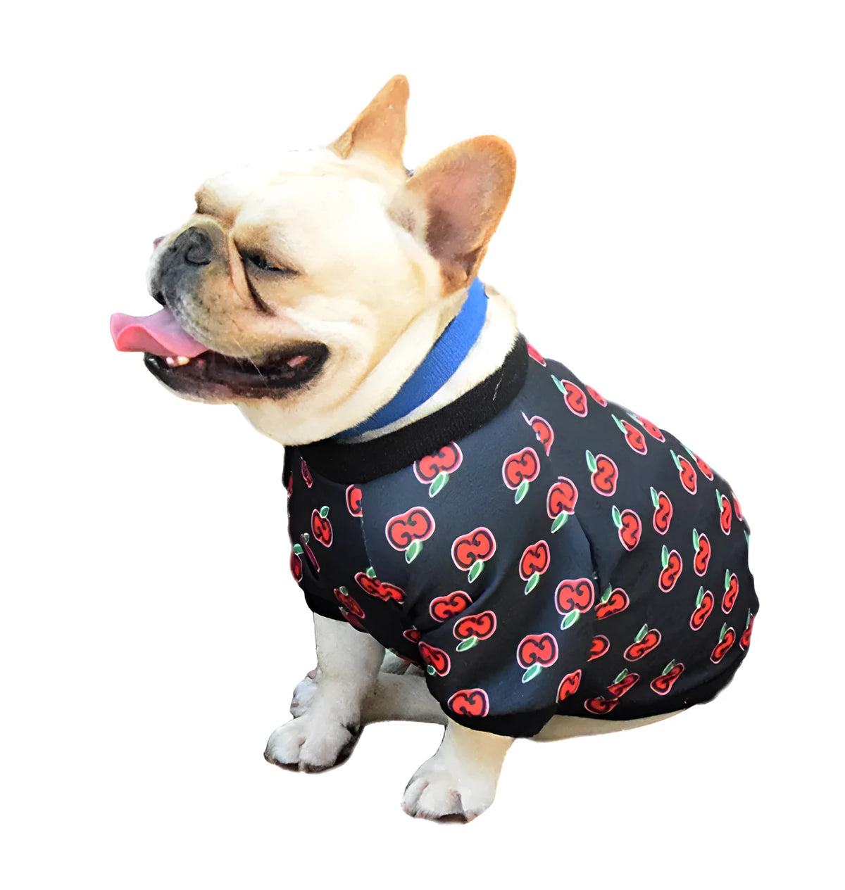 Two-legged dog clothing in polyester, shown in black or white, sizes XS to XXL and FB for Teddy dogs.