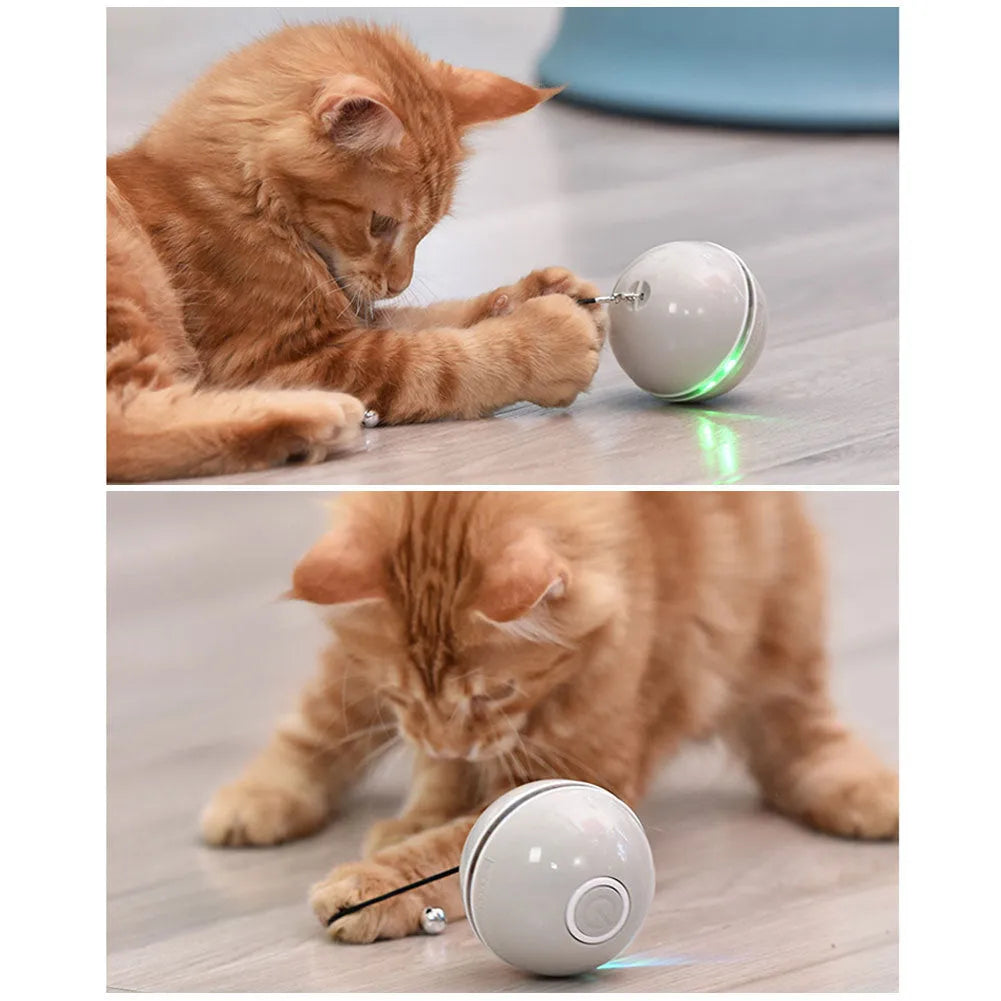 Colorful LED laser funny cat ball, USB rechargeable, 6.4cm diameter ABS plastic, with feather and bell