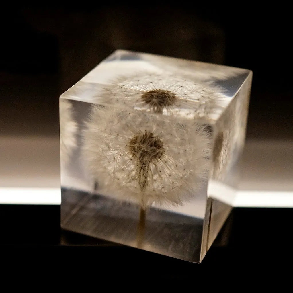 5cm clear resin cube with a real dandelion inside, next to a wooden box and USB charging base.