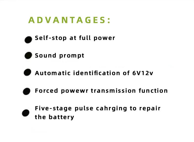 BT-168 car battery charger for 12V and 24V lead acid automotive batteries with American plug