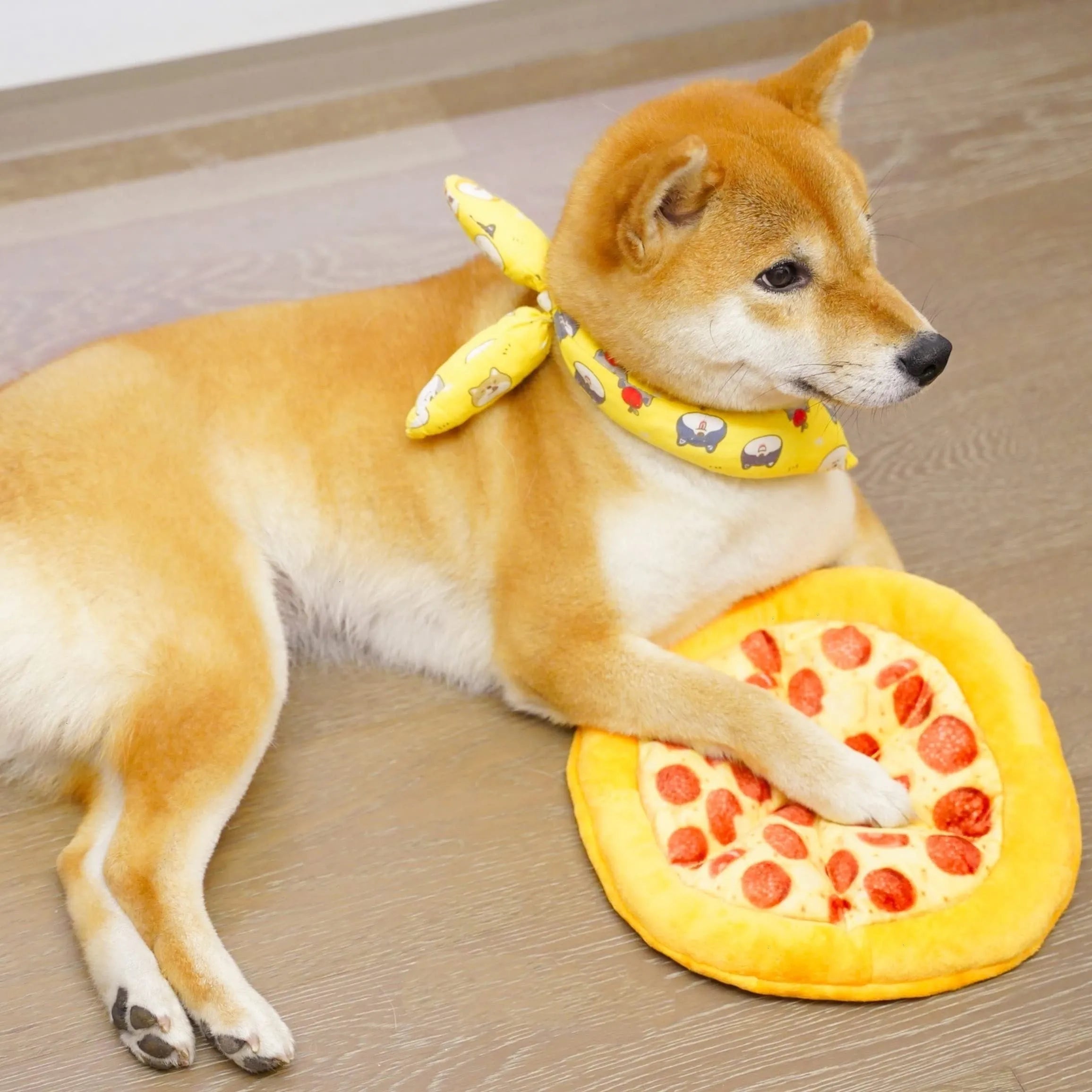 Yellow pizza slice shaped dog chewing toy with squeaky feature for small to medium dogs