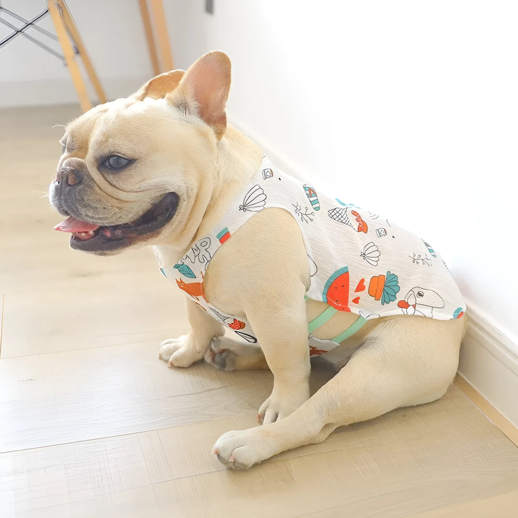 Acrylic pet vest shirt in casual style, shown in Cactus, Pineapple, Rabbit, or Watermelon colour, sizes XS-XXL.