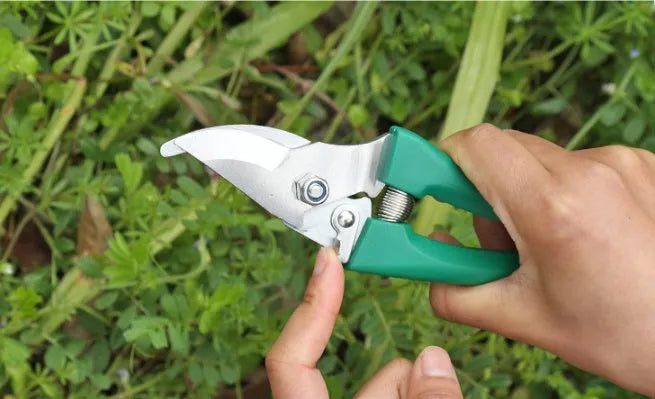 Ten-piece gardening tool set with iron heads and plastic handles, green and purple colour options