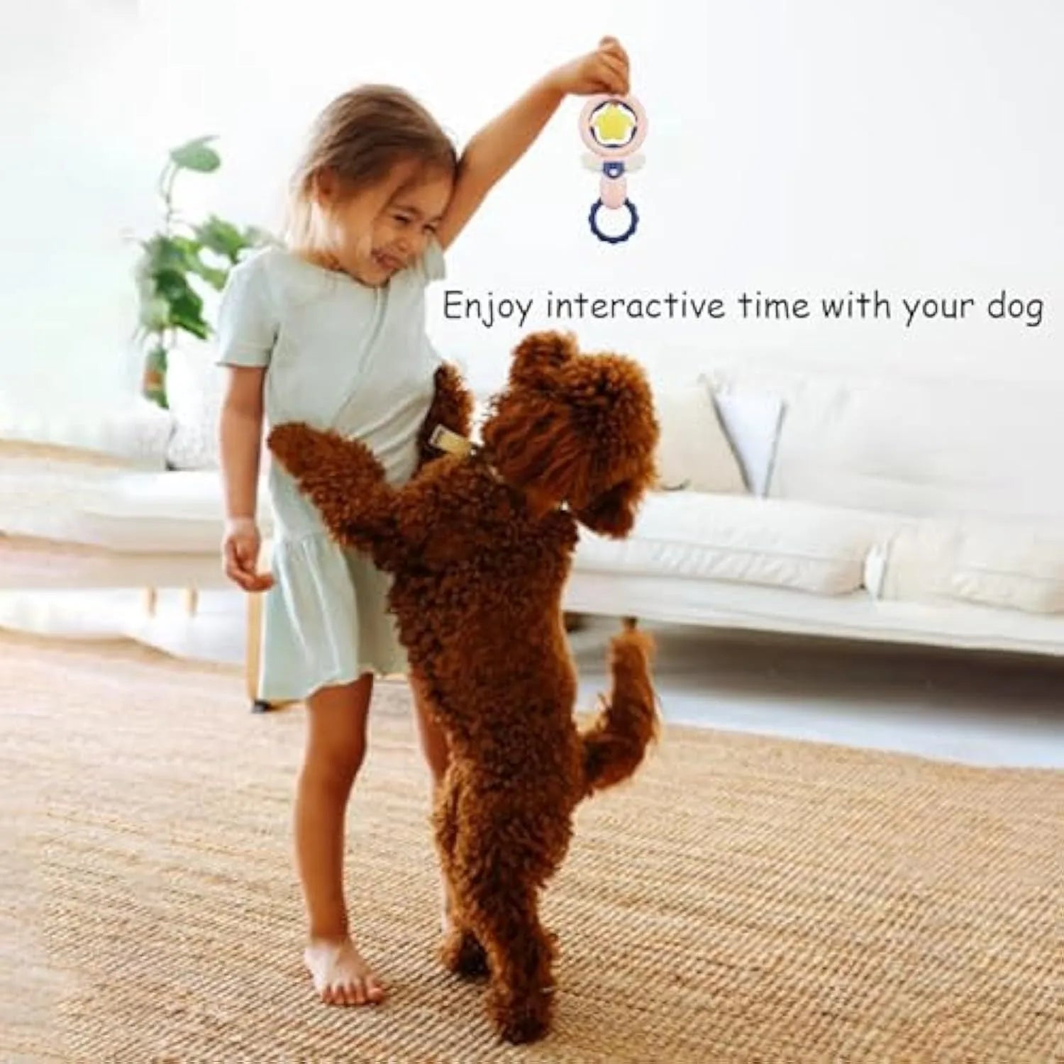 Set of four durable interactive dog toys including chew-resistant squeaky toys and dental cleaning toys for large breed dogs