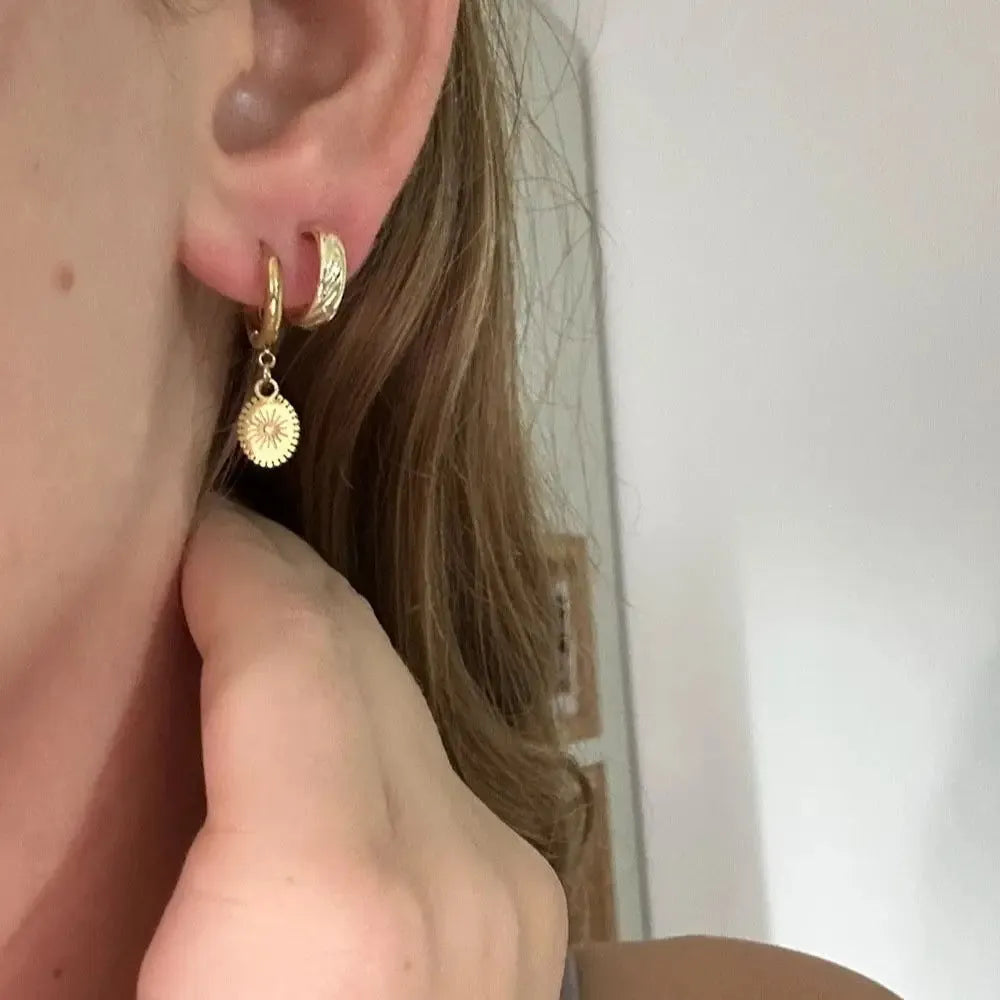 A pair of stainless steel geometric earrings with ellipse design details on a white background.