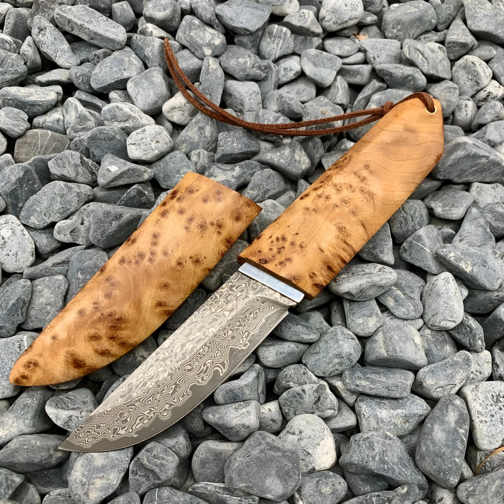 White Shadow Damascus VG10 steel outdoor camping short knife with Thuja wood handle