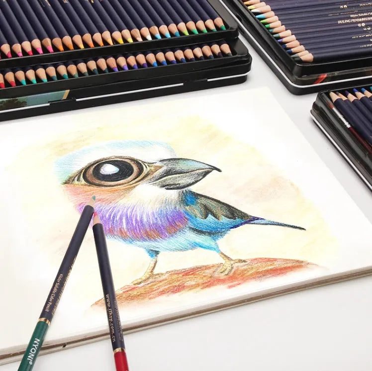 Water soluble coloured pencil set with multiple colours and lead hardness options for painting and drawing
