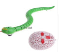 Green remote control snake toy with retractable tongue and swinging tail on floor