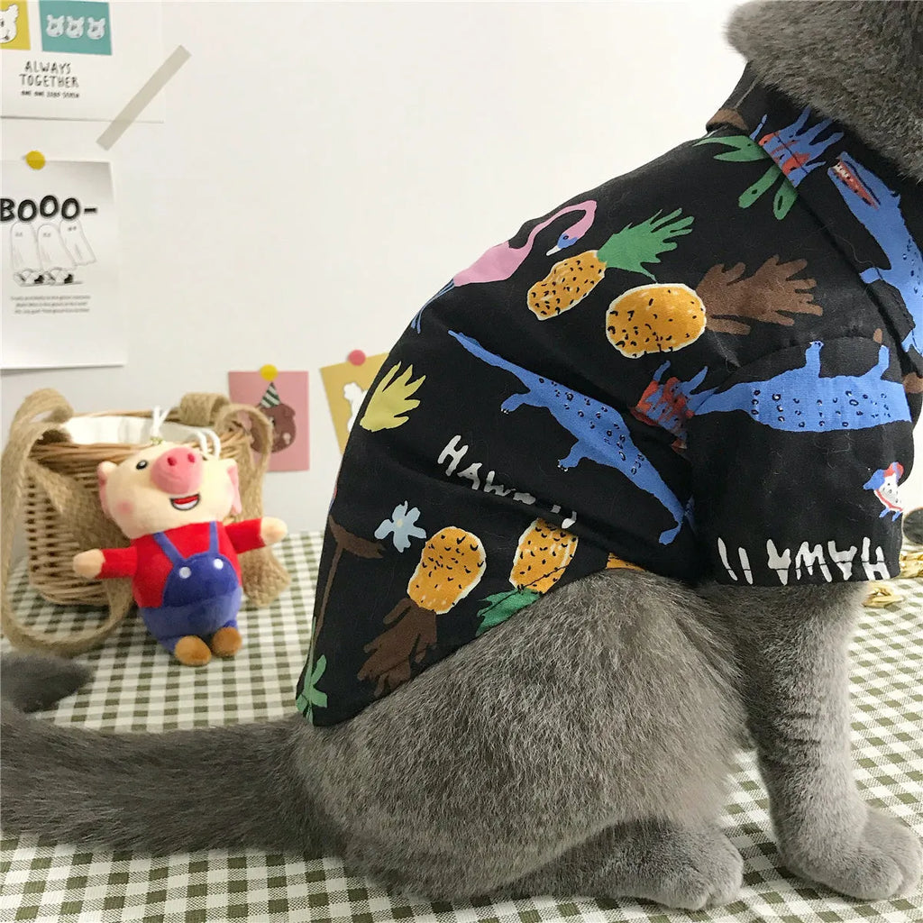 Summer cat shirt with straw hat necklace and glasses set for hair shedding reduction