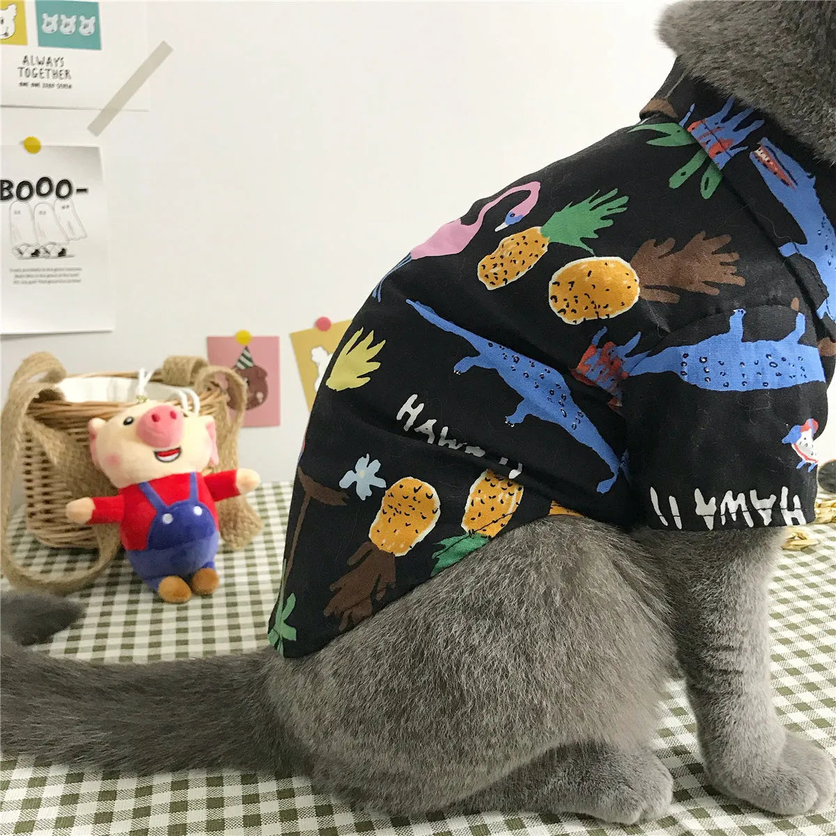 Summer cat shirt with straw hat necklace and glasses set for hair shedding reduction