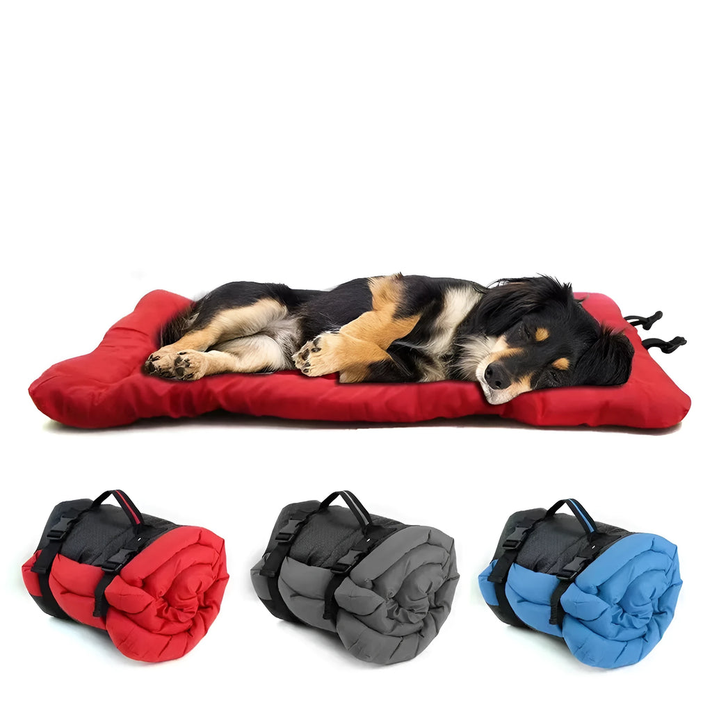 Blue foldable waterproof dog bed shown both open and folded with nylon buckles, on grass.