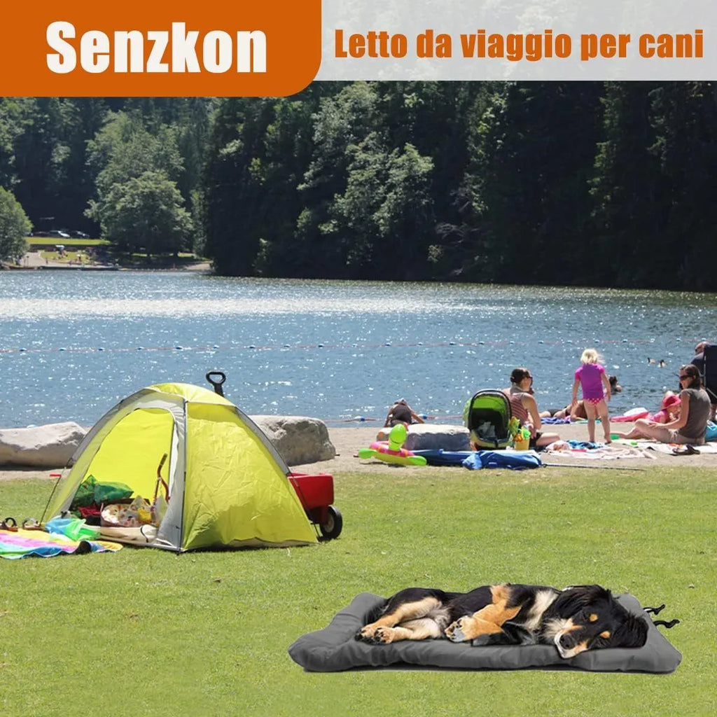 Blue foldable waterproof dog bed shown both open and folded with nylon buckles, on grass.