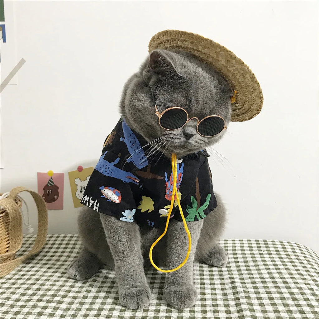 Summer cat shirt with straw hat necklace and glasses set for hair shedding reduction
