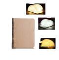 Solid wood USB book light shown in three sizes: mini, small, and large.