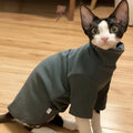 Dralon self-heating hairless cat hoodie in polyester, black or green, sizes XS to 3XL