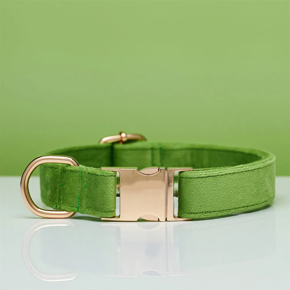 Striped wool dog collar in coral orange with attached leash on a neutral background