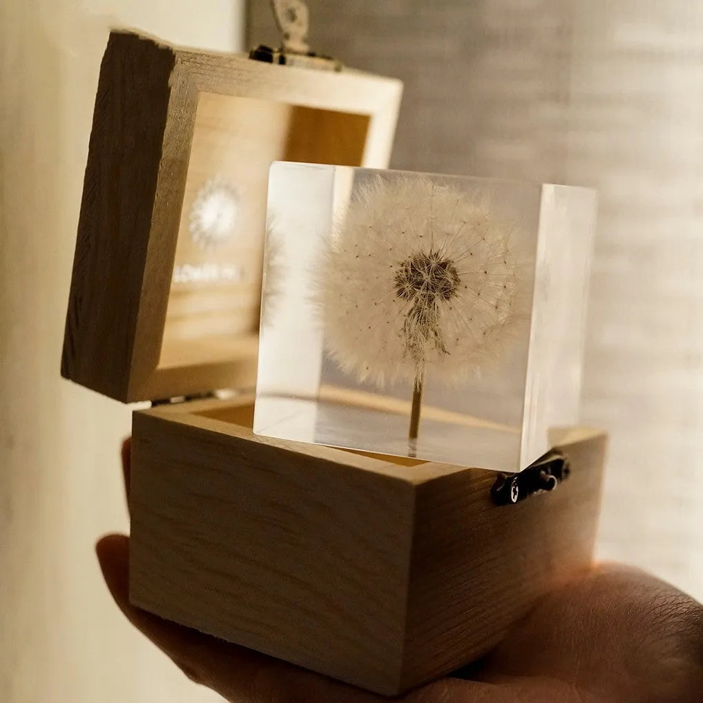 5cm clear resin cube with a real dandelion inside, next to a wooden box and USB charging base.