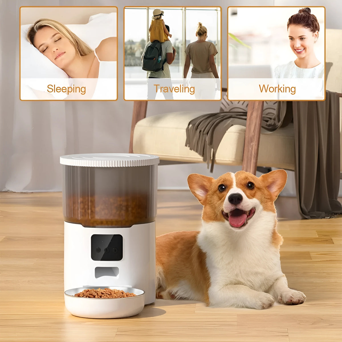 4L automatic pet feeder for dogs and cats, black or white transparent, button or WIFI control