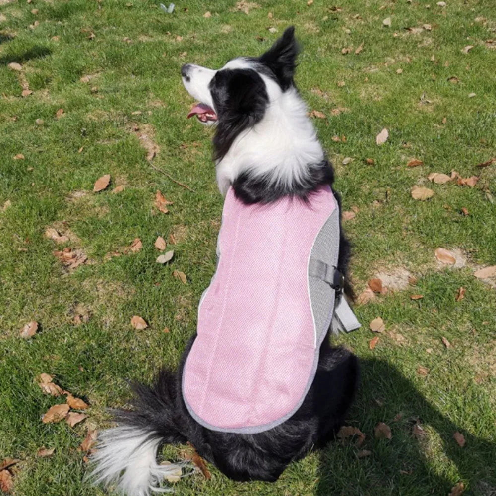 Summer dog cooling vest in blue with breathable mesh surface and cool-sensing fabric lining