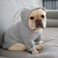 Light grey soft fabric dog sweater for spring and autumn, pullover style on a small dog