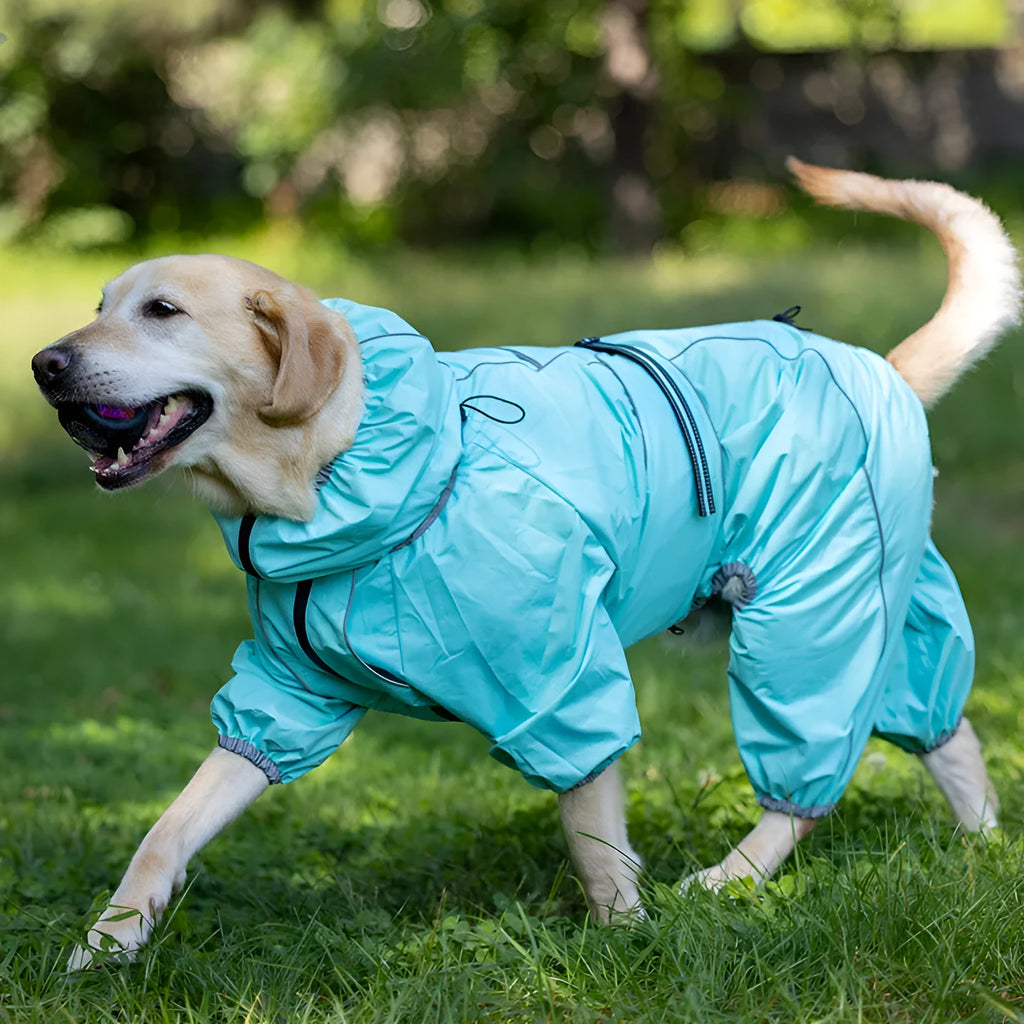 Red polyester padded dog jacket with zip front on a medium-sized dog.