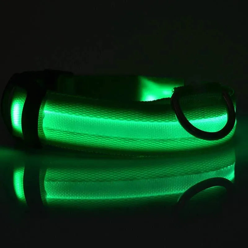 Nylon LED pet collar with adjustable buckle in blue, glowing with fibre optic lights in flash mode on a dark surface