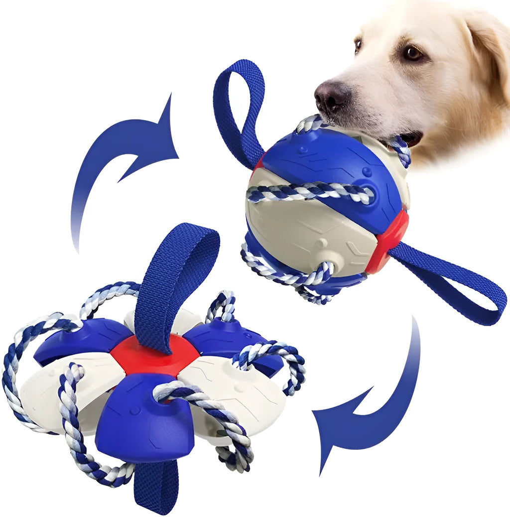 Interactive dog football soccer ball with tabs in blue, showing sphere form with cotton rope and nylon tug rope, on grass