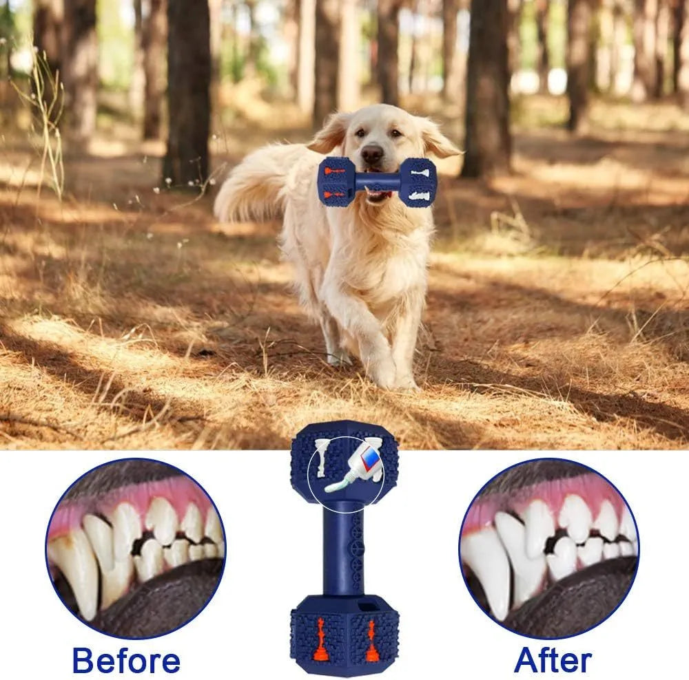 Black durable rubber dumbbell dog chew toy with textured surface and hollow ends for treats.