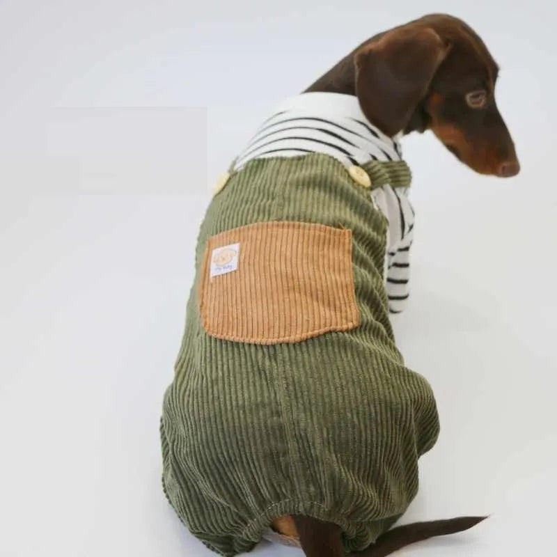 Green black and white striped four-legged pet pants for small dogs, polyester, sizes XS to XL