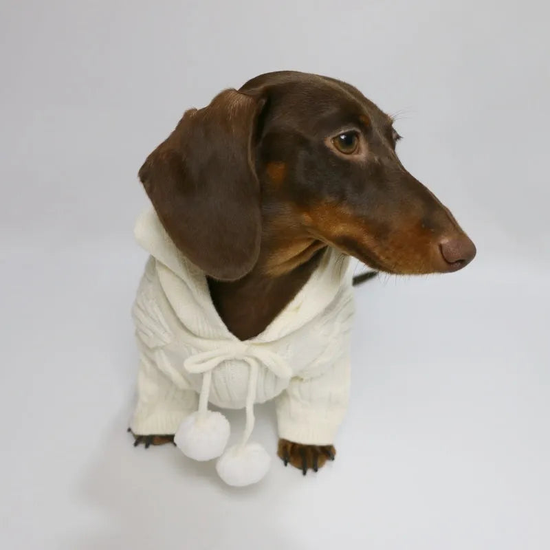 Two-leg hooded pet sweater in sky blue or beige, blended fabric, sizes XS to XL for autumn and winter warmth