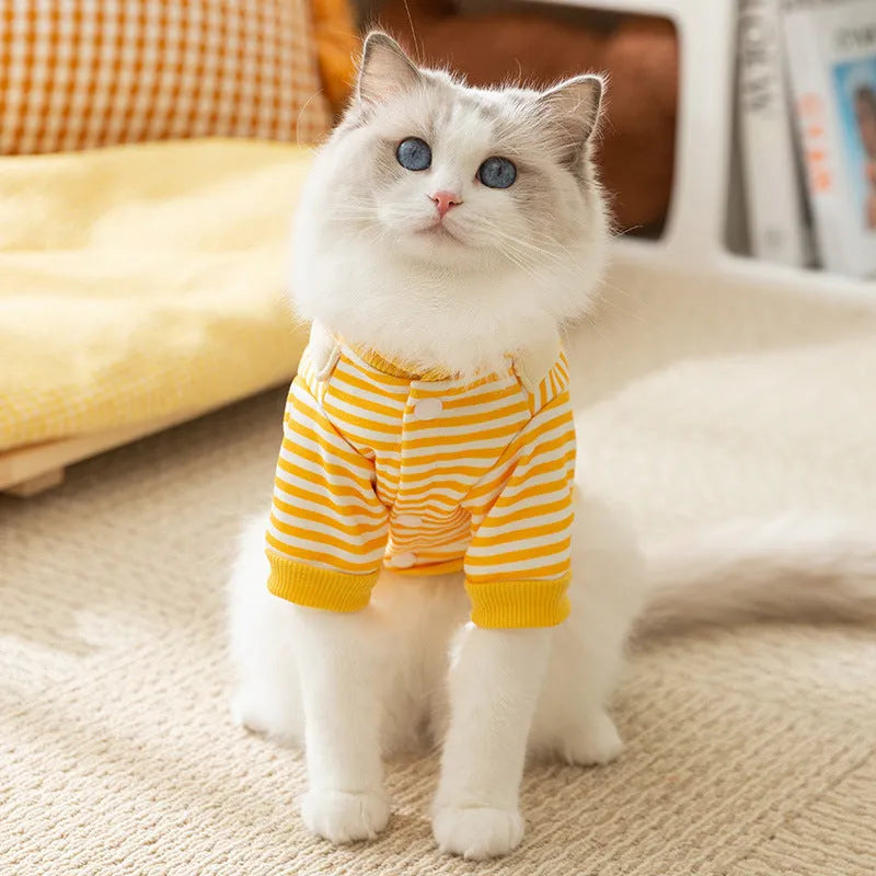 Fashion Autumn Thin Dog Pattern Sweater in yellow with cartoon design for pets