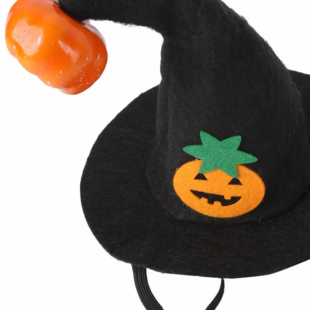 Pet cat wearing cloth Halloween pumpkin hat with embossed design details in free-size fit