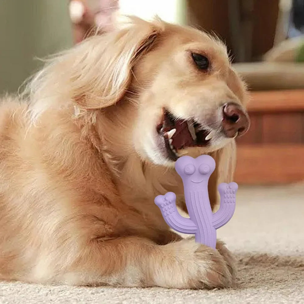 Beige, blue, and purple cactus-shaped dog chew toy made from bamboo fibre and rubber