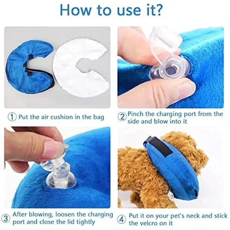 Blue inflatable soft recovery collar for a dog, showing adjustable air valve.