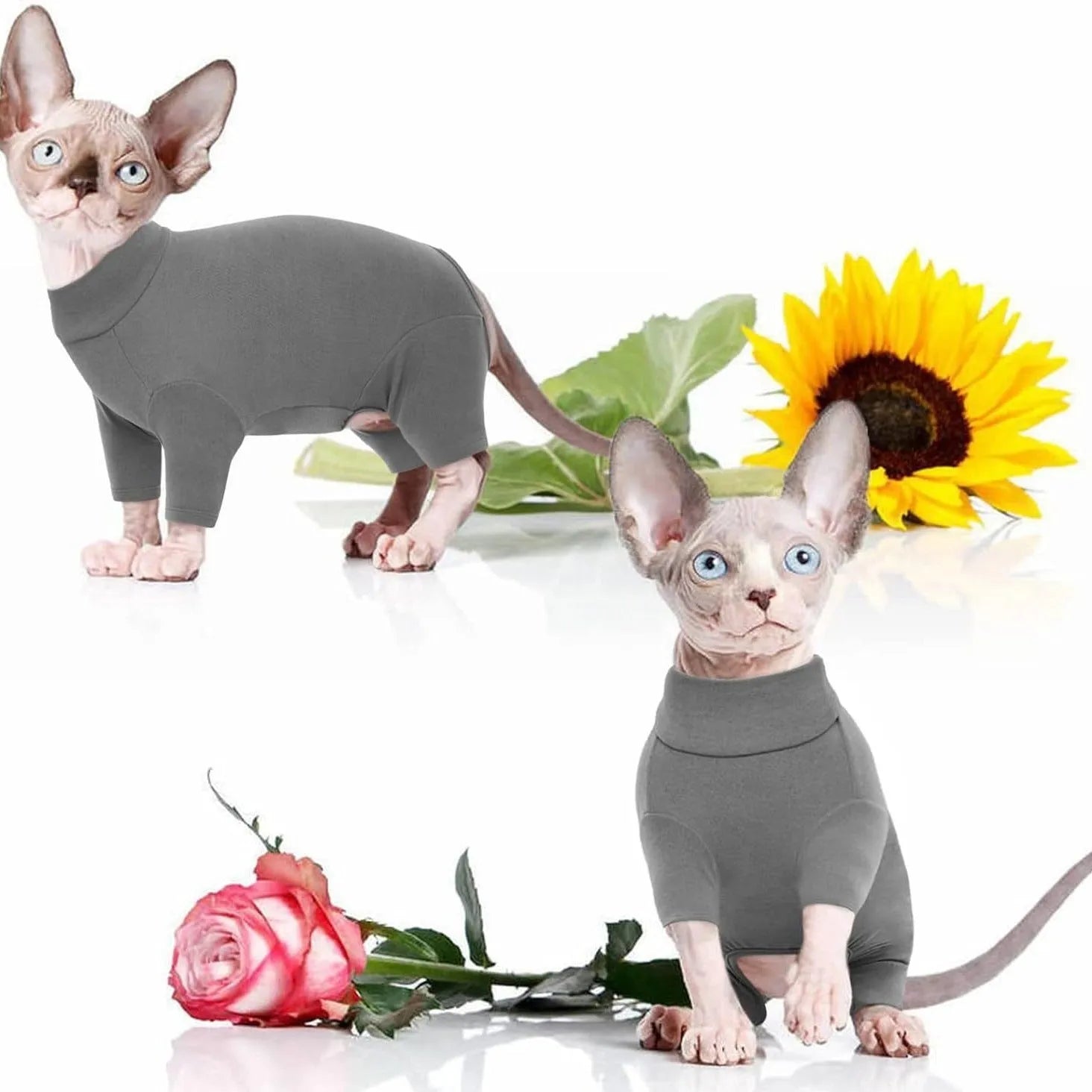 Hairless cat wearing soft turtleneck sweater with leg openings for winter warmth