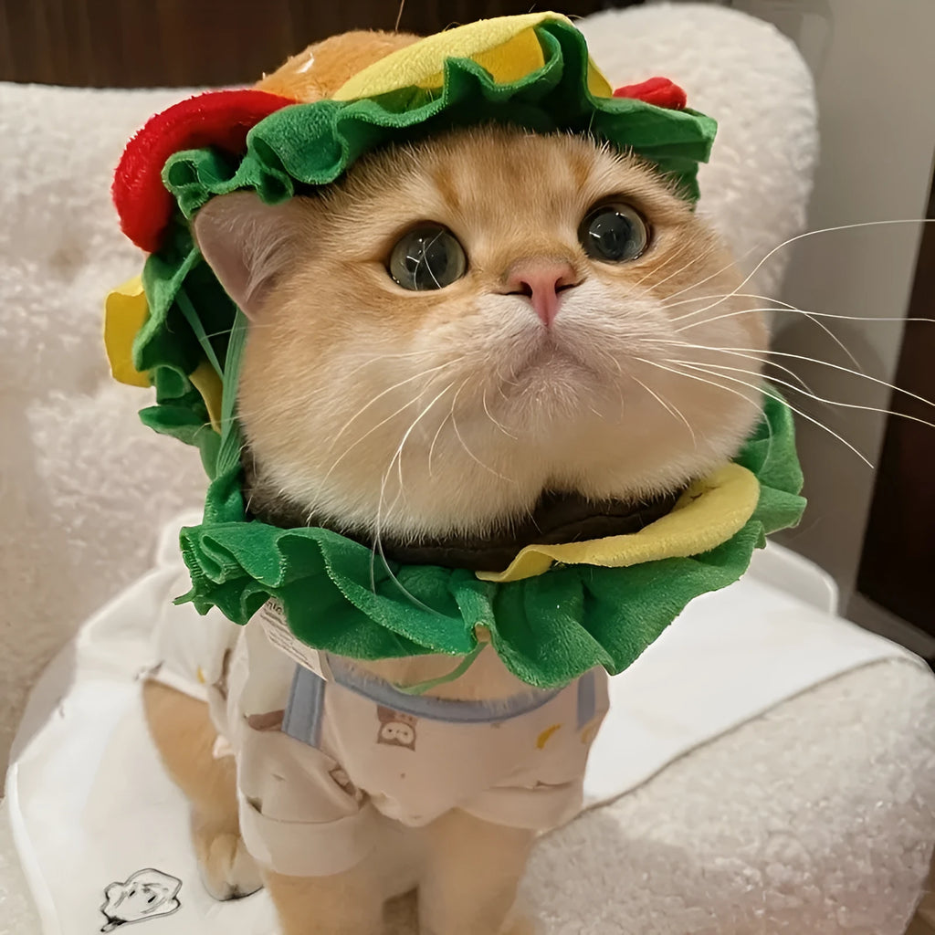 A cat wearing a soft hamburger-shaped headdress collar as an alternative to a plastic cone.