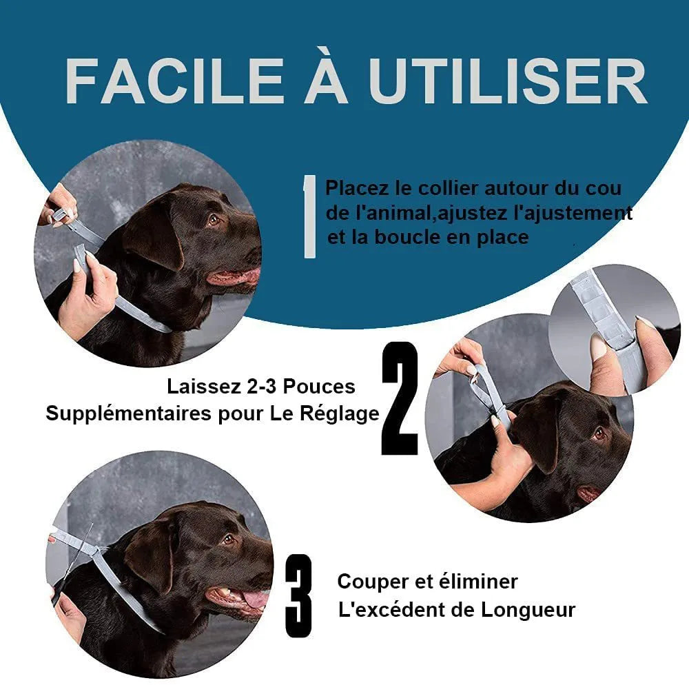 Rainbow packaged plastic flea and lice preventing collar for cats and dogs, showing 38cm and 62cm sizes.