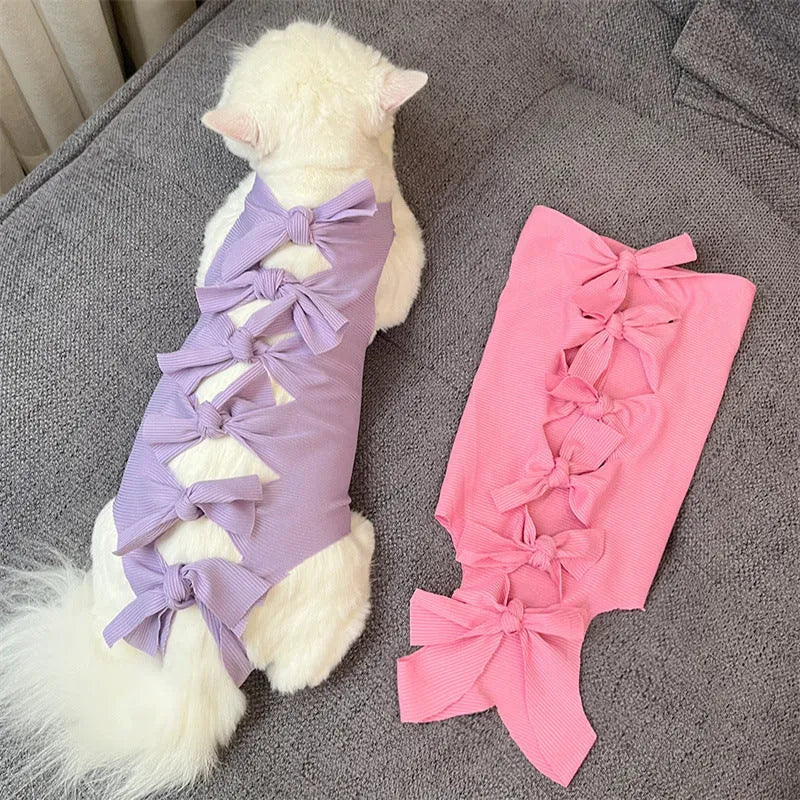 Blue lace-up cat recovery suit on a tabby cat, showing the back closure and full-body fit.