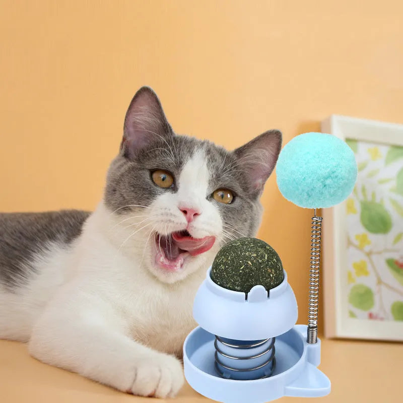 Compact 55x55mm mint ball cat toy for interactive play and dental care