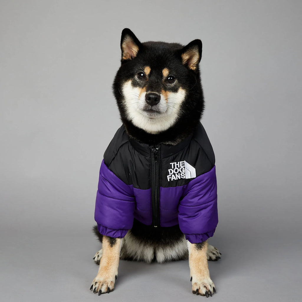 Windproof rainproof dog winter warm cotton-padded coat in polyester, sizes S to 5XL, multiple colours