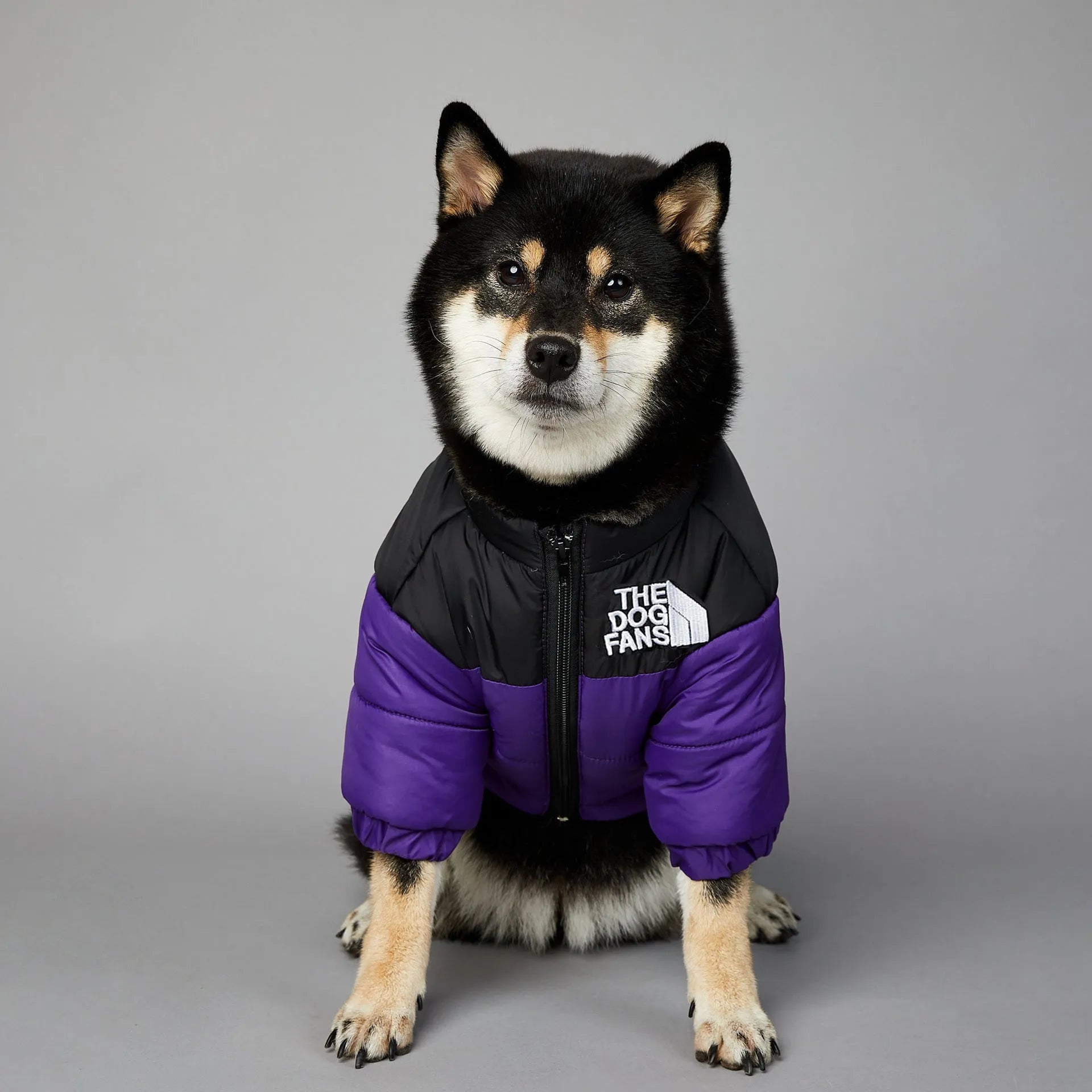 Windproof rainproof dog winter warm cotton-padded coat in polyester, sizes S to 5XL, multiple colours