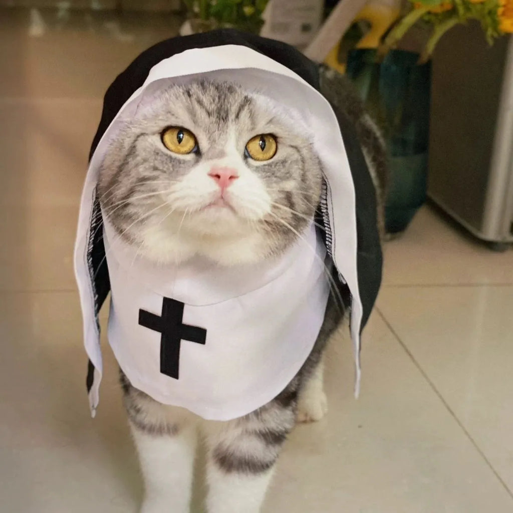 Black and white nun cloak costume on a small dog