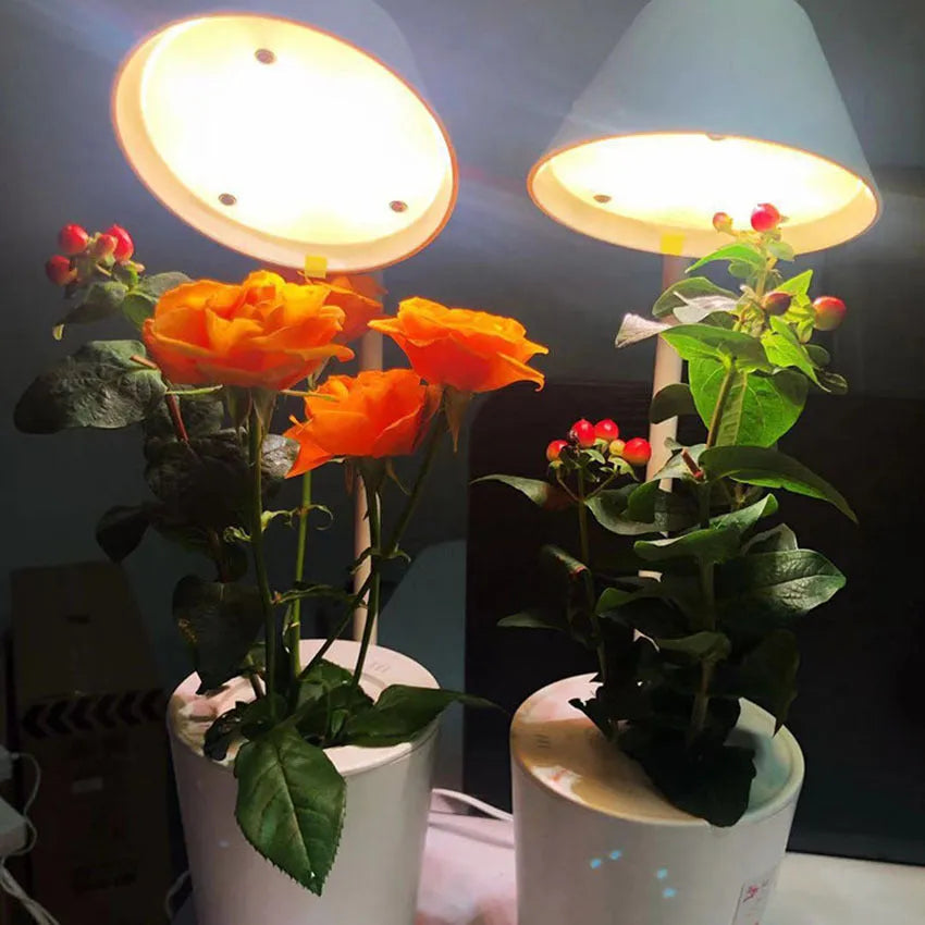 White plastic desktop hydroponic plant growth container for soilless cultivation.