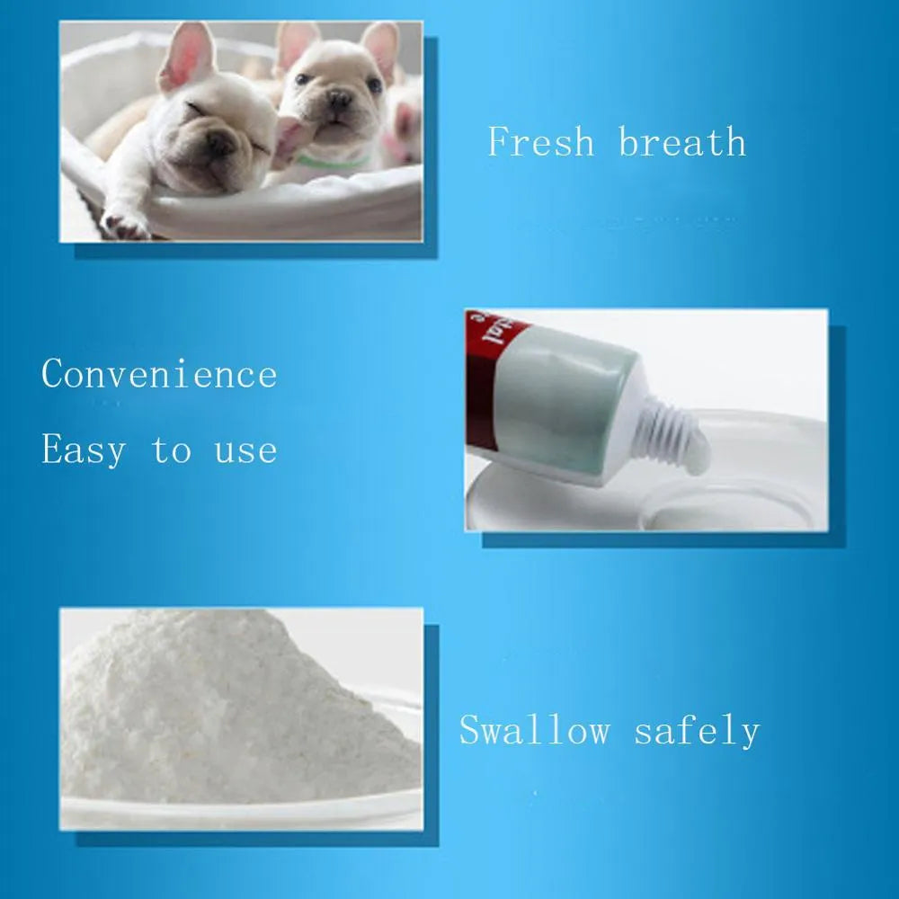 95g plastic tube of dog clean toothpaste for dog dental care and bad breath reduction