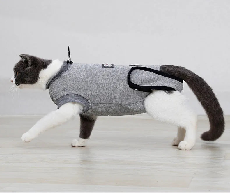 Pet cat recovery suit in pure cotton with anti-mite and sterilisation features, available in multiple sizes for small cats