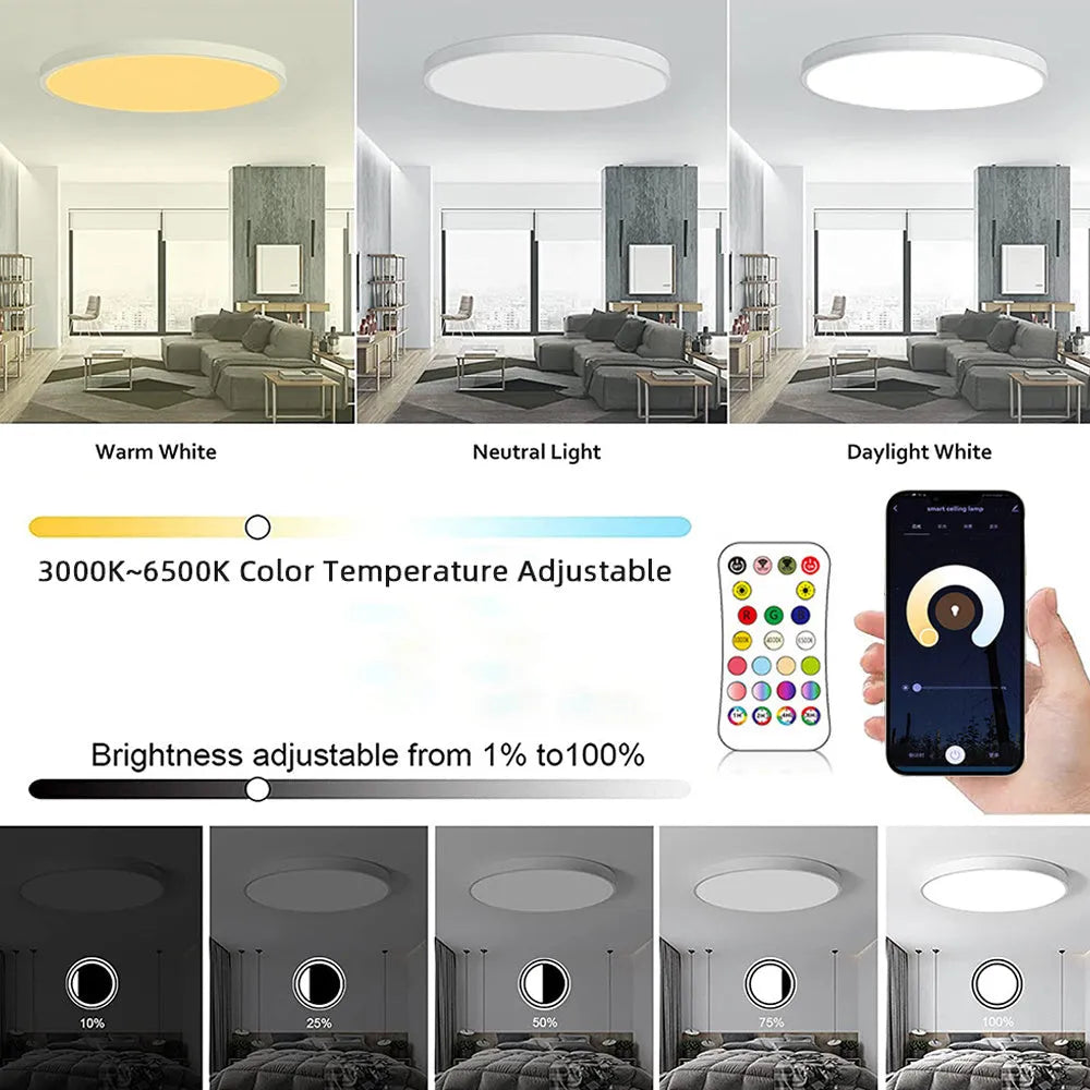 Black and white intelligent Bluetooth ceiling lamp with RGBCW full colour and colour temperature adjustment